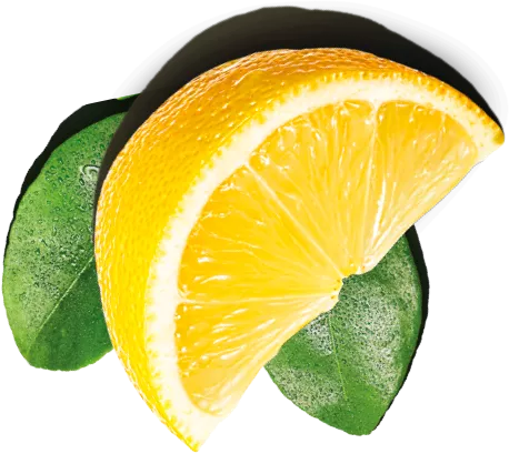 limón picado con flores verdes laterales